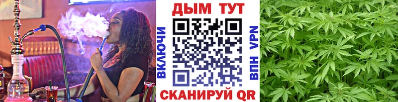 Бошки Шишки THC 21%  сайты даркнета состав  Междуреченск 